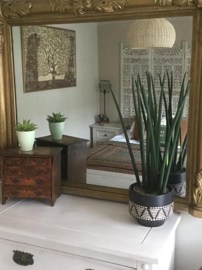 Bambu Cottage New Quay Екстериор снимка