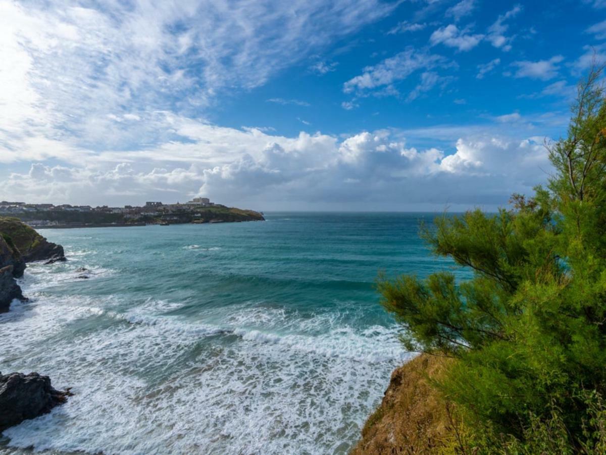 Bambu Cottage New Quay Екстериор снимка